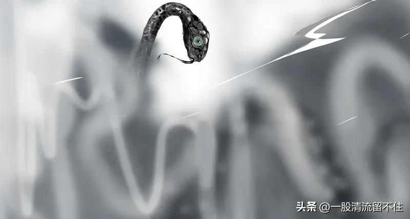 “眼镜蛇效应”指针对某问题做出的解决方案，反而使该问题恶化，常用于形容政治和经济