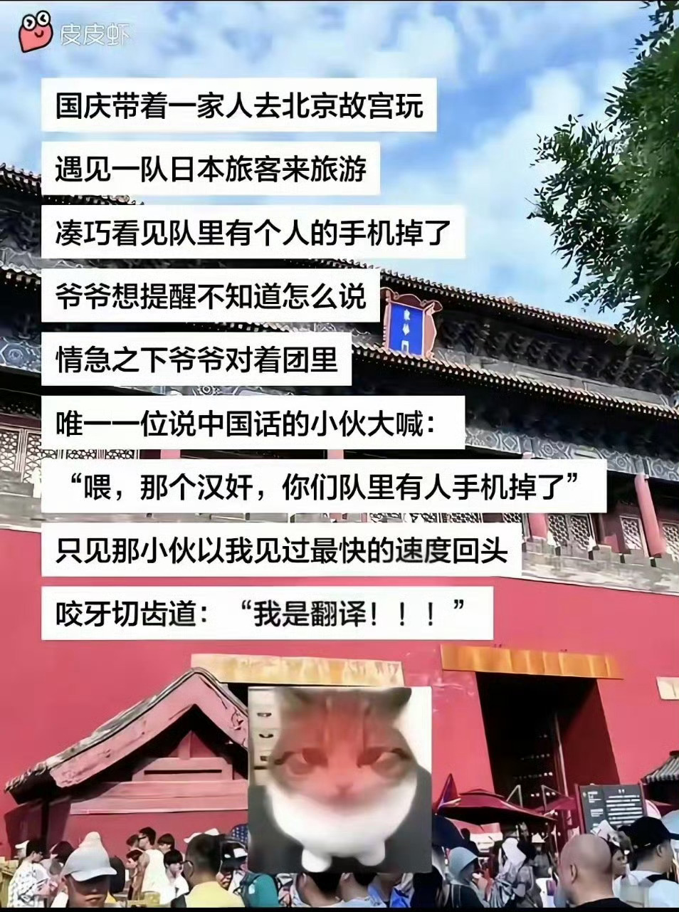 翻译就是汉奸[阴险] ​​​