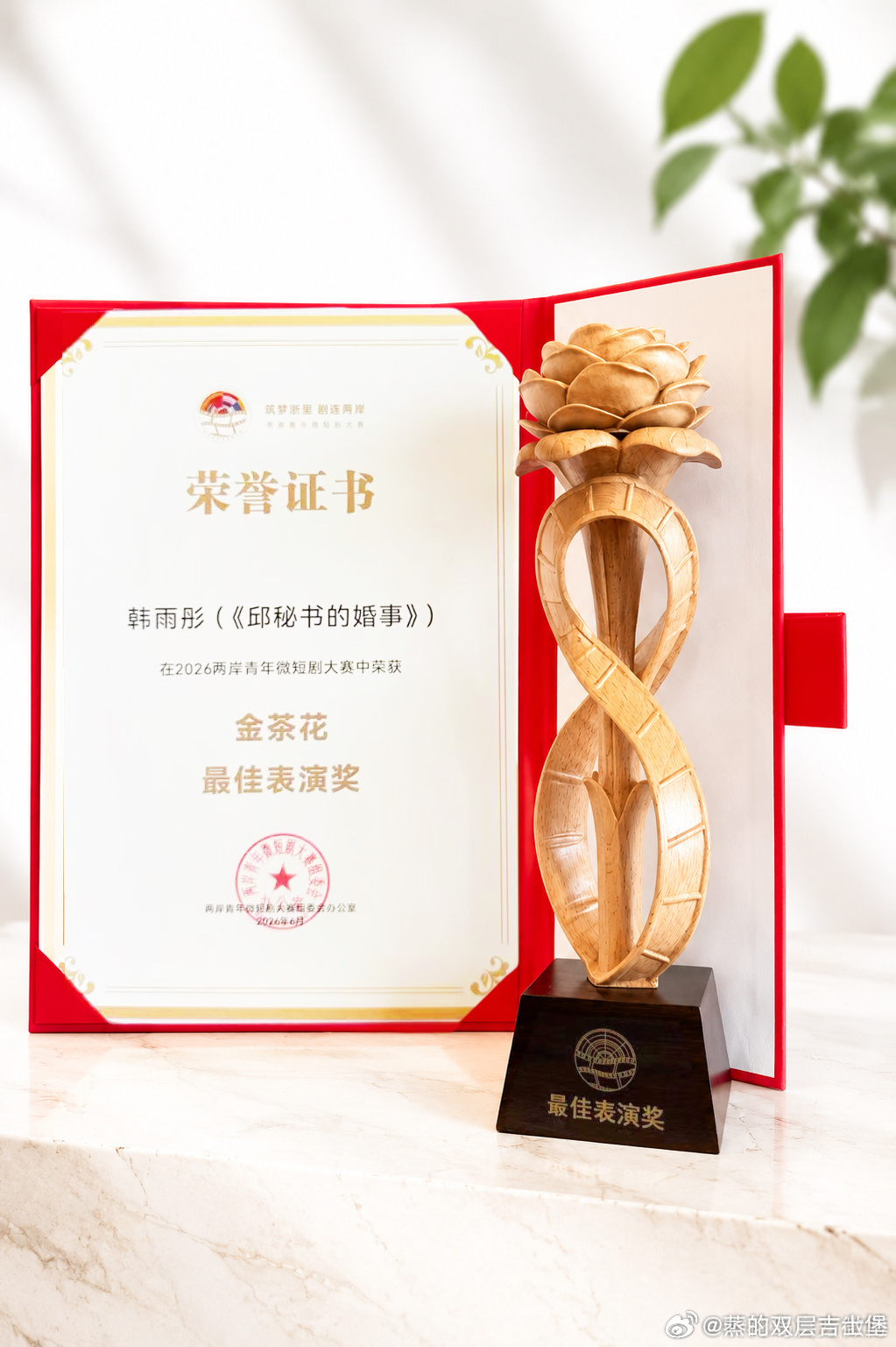 2026两岸青年微短剧大赛听花岛收获三项金茶花大奖短剧⬇️《家里家外2》  金茶