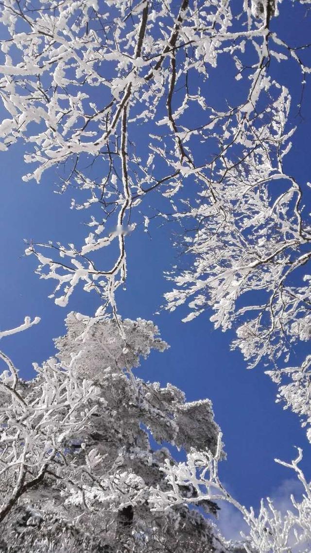 南方局地或现暴雪大暴雪暴雪虽冷，但人心温暖。提醒大家提前做好防寒防滑准备，也致敬