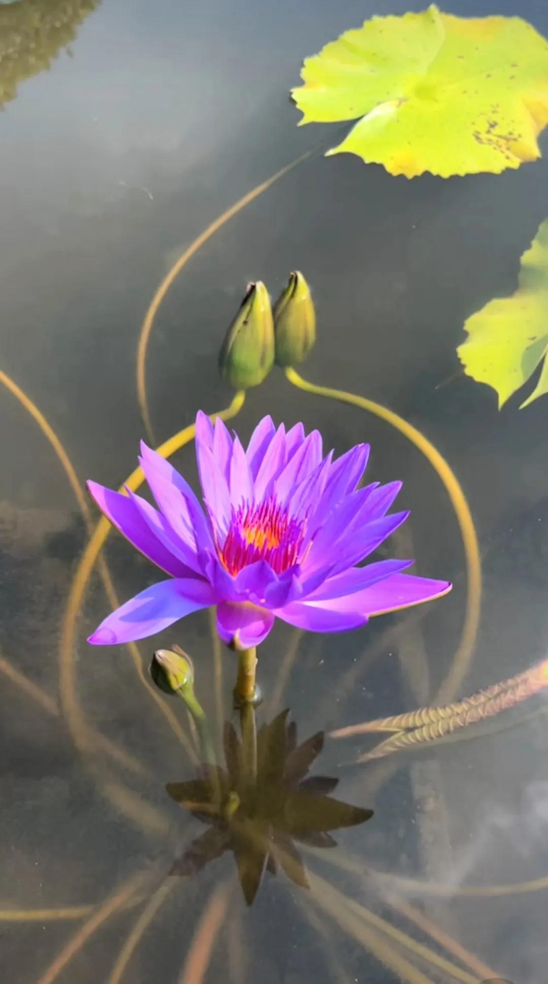 自驾旅行记录方向盘握在手里，风景就成了流动的诗。