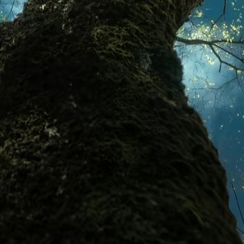 每日一善 阳光信用每日一善 我想春天永远都是无法具象的，它有各种各样的形态，可以