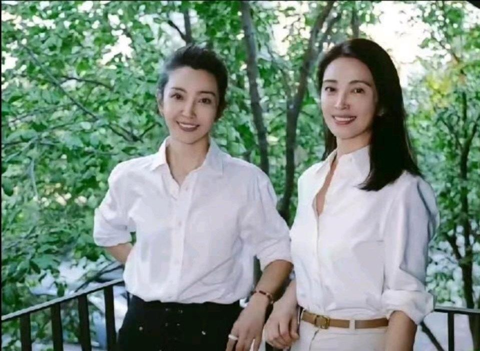 李冰冰和妹妹的合作这也太像了 