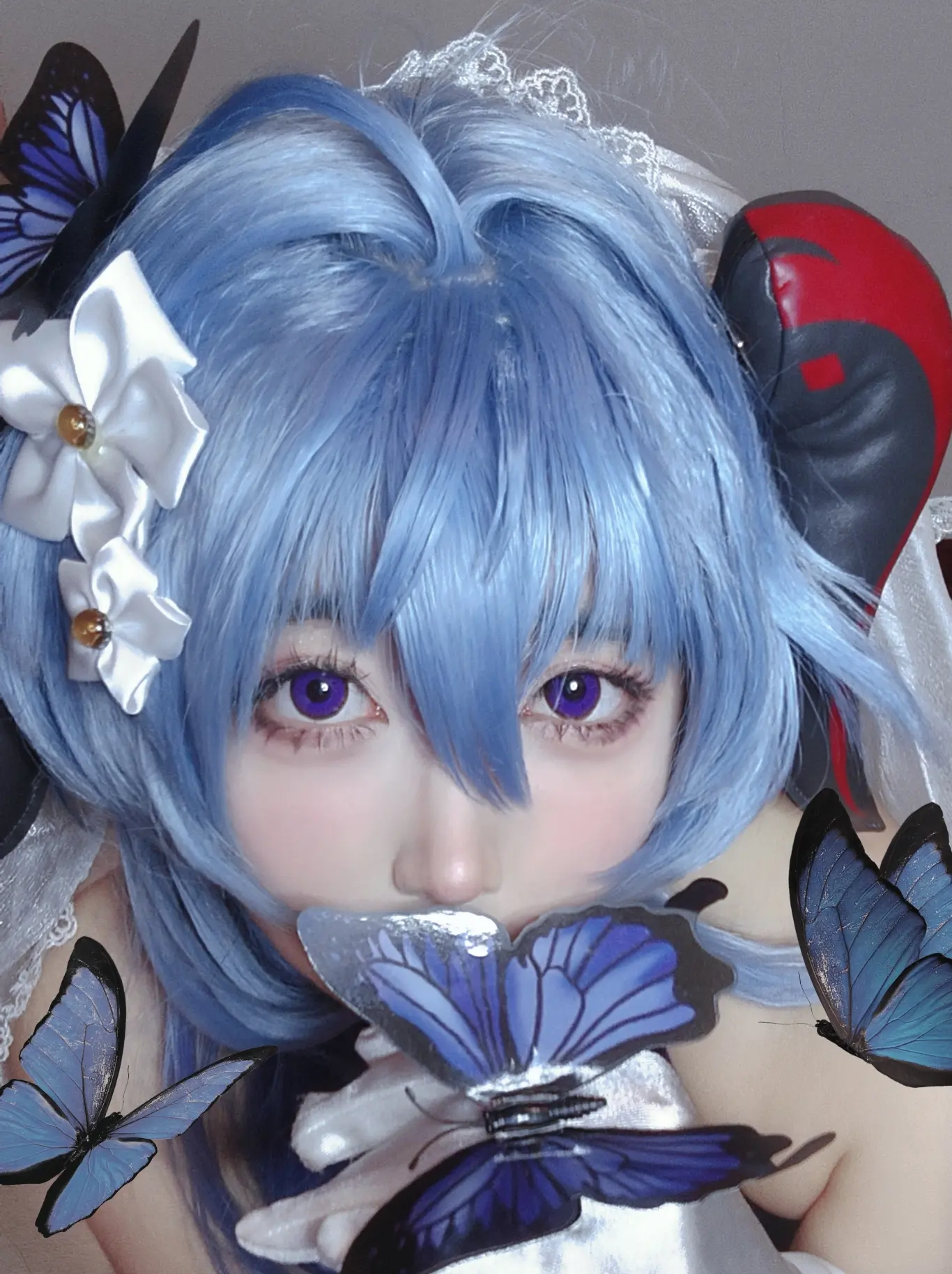 会成为出现在你梦里的蝴蝶吗