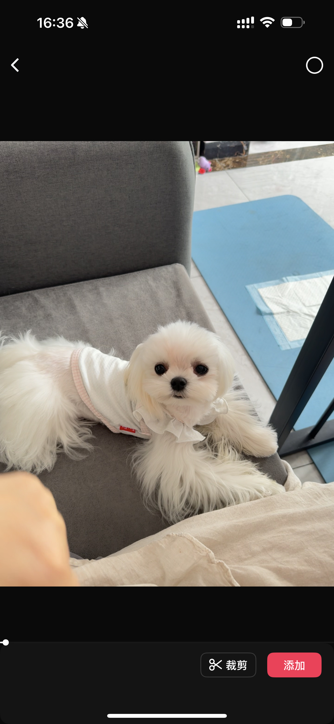 糯米团子吧 ​​​