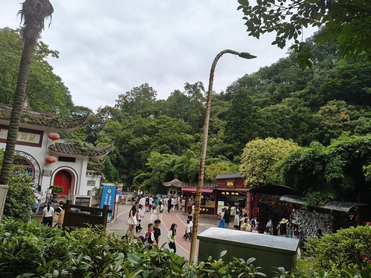 马斯走亏了500亿股票还涨上天
茅台酒100成本卖几千，大赚啊！
股票却大跌？跌