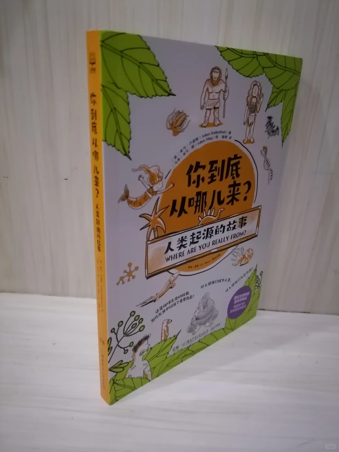 解开生命奥秘的钥匙
