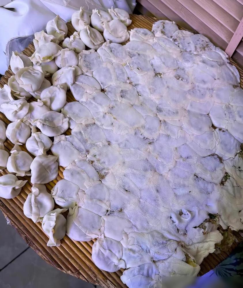 包了一盖帘饺子，一个个捏得鼓鼓的，摆得整整齐齐。

女婿进门没看清，一屁股坐上去