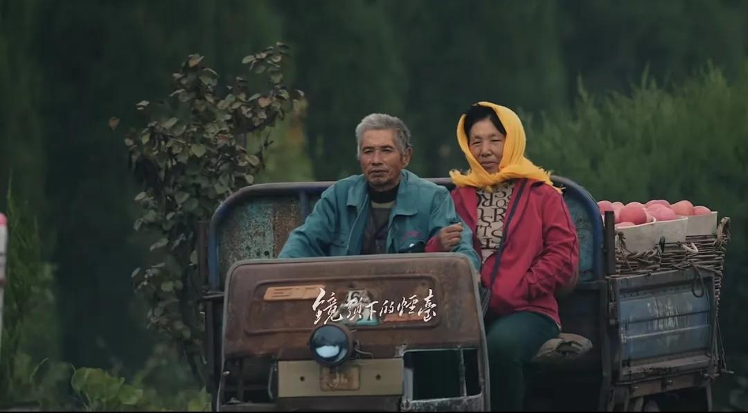 女同事是烟台人，父母在老家种苹果。女同事在我们工作群里问，有需要苹果的吗？她家里