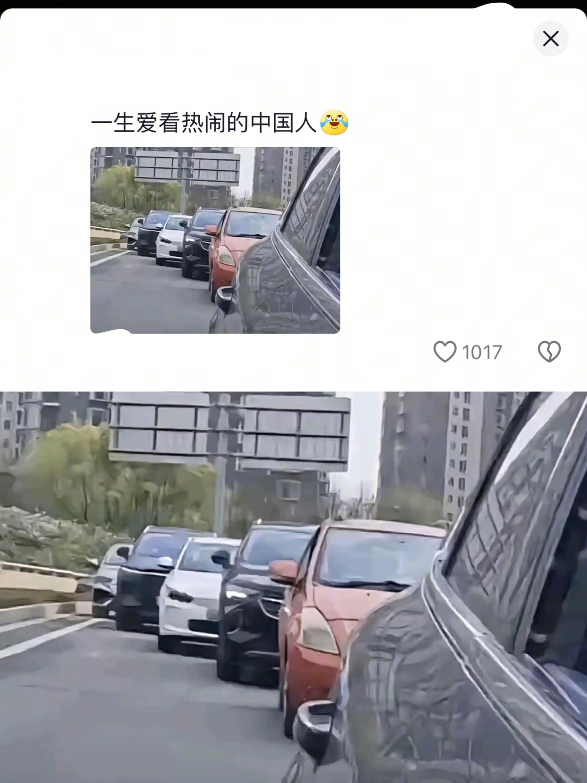 《一生爱看热闹的中国人》哈哈哈哈哈哈哈哈哈 