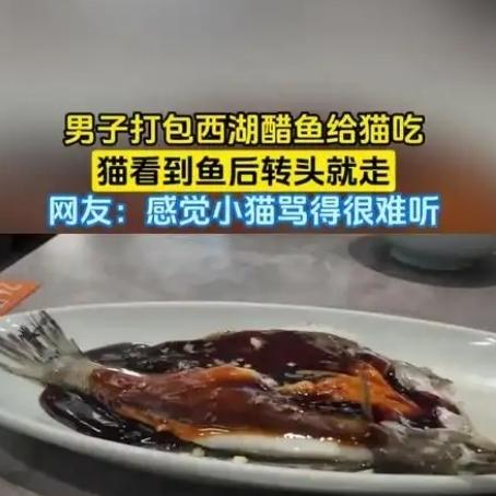 笑不活了，一男子上餐馆点了份西湖醋鱼，可鱼上桌后男子刚吃了一口，就发现这醋鱼的特
