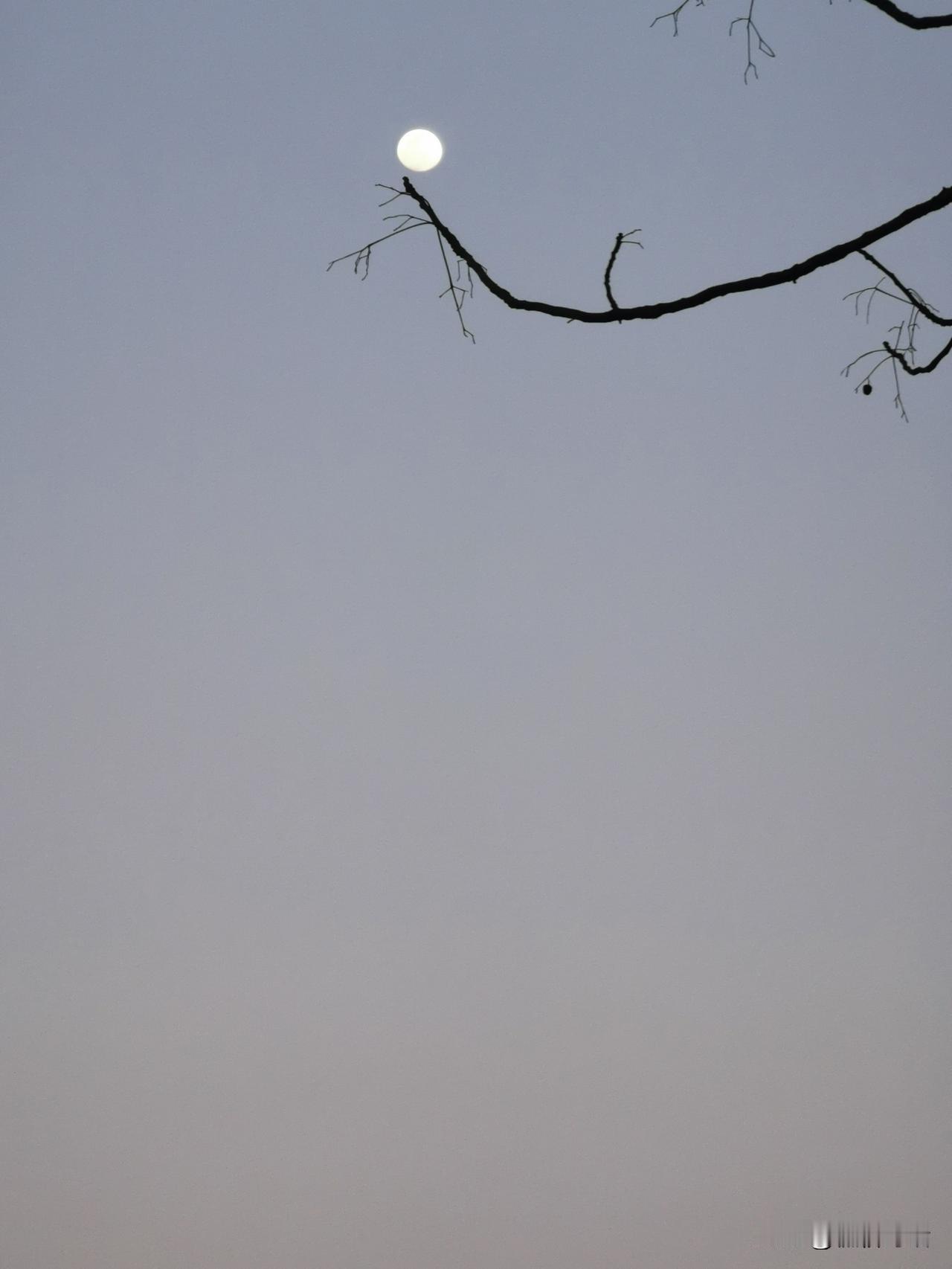 家乡的风景
在我心中，家乡的风景如同一幅绝美的画卷，饱蘸着浓郁的情感，流淌着无尽