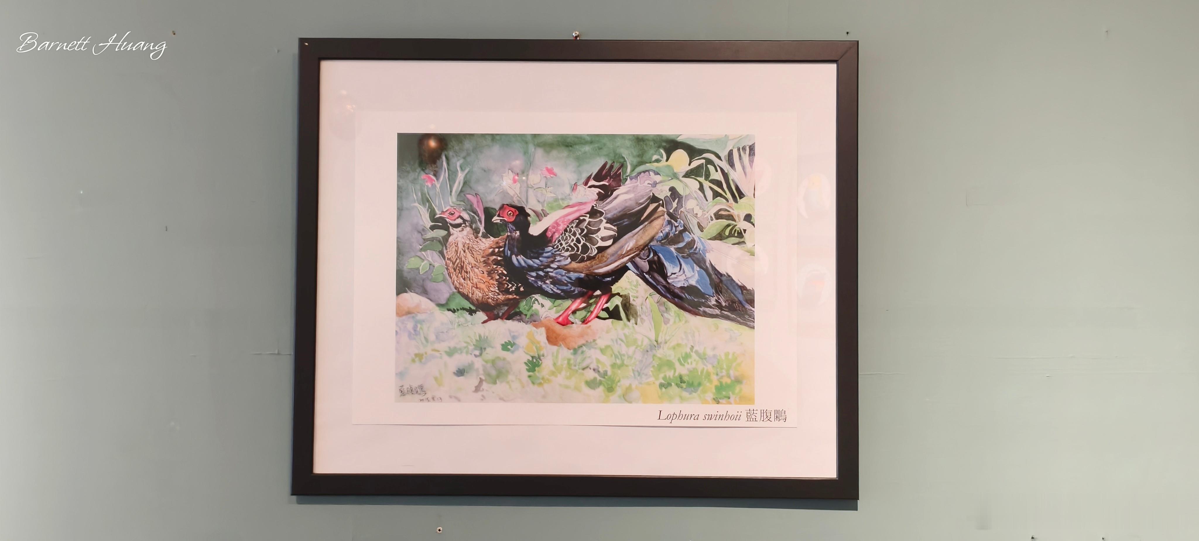 暫時這樣展(A3 畫幅單幅) & 老闆娘的新作，看得出來是什麼嗎？😁 