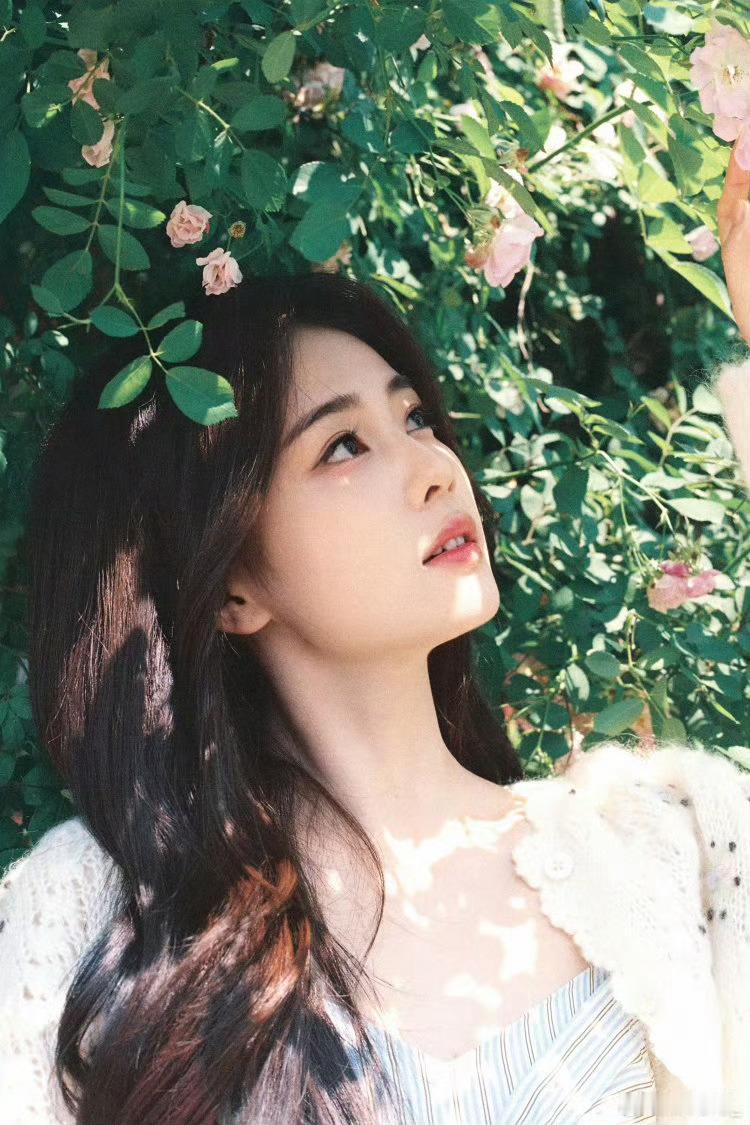白鹿回复猫的树我在期待一个女神的现偶。。。