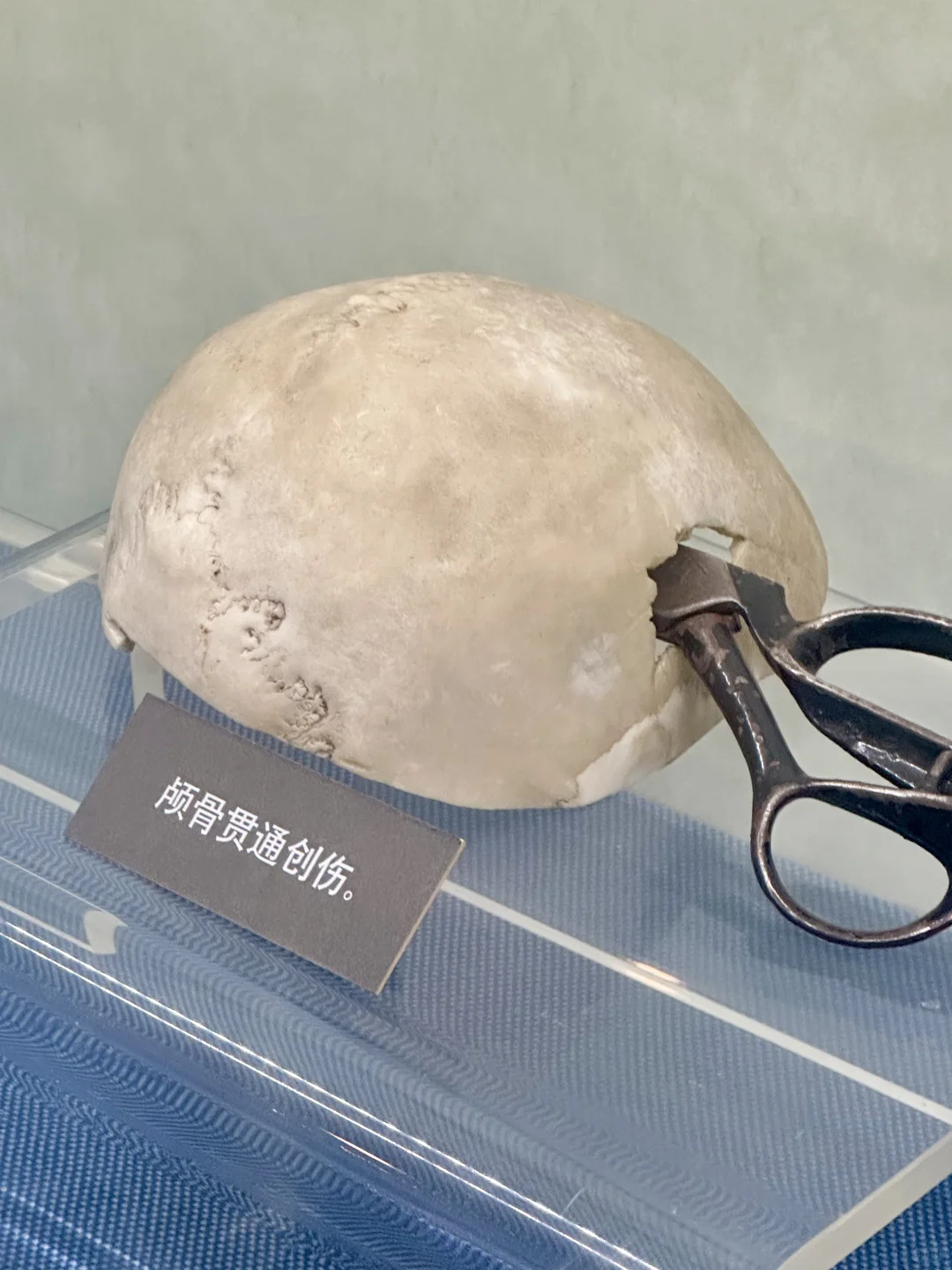 被上海公安博物馆震惊🤯……