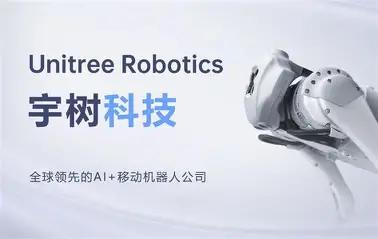 宇树科技上市后估值冲上高位，人形机器人到底是真需求还是先炒预期？

宇树科技8月