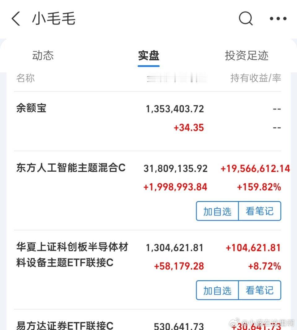 半导体之王，小毛毛