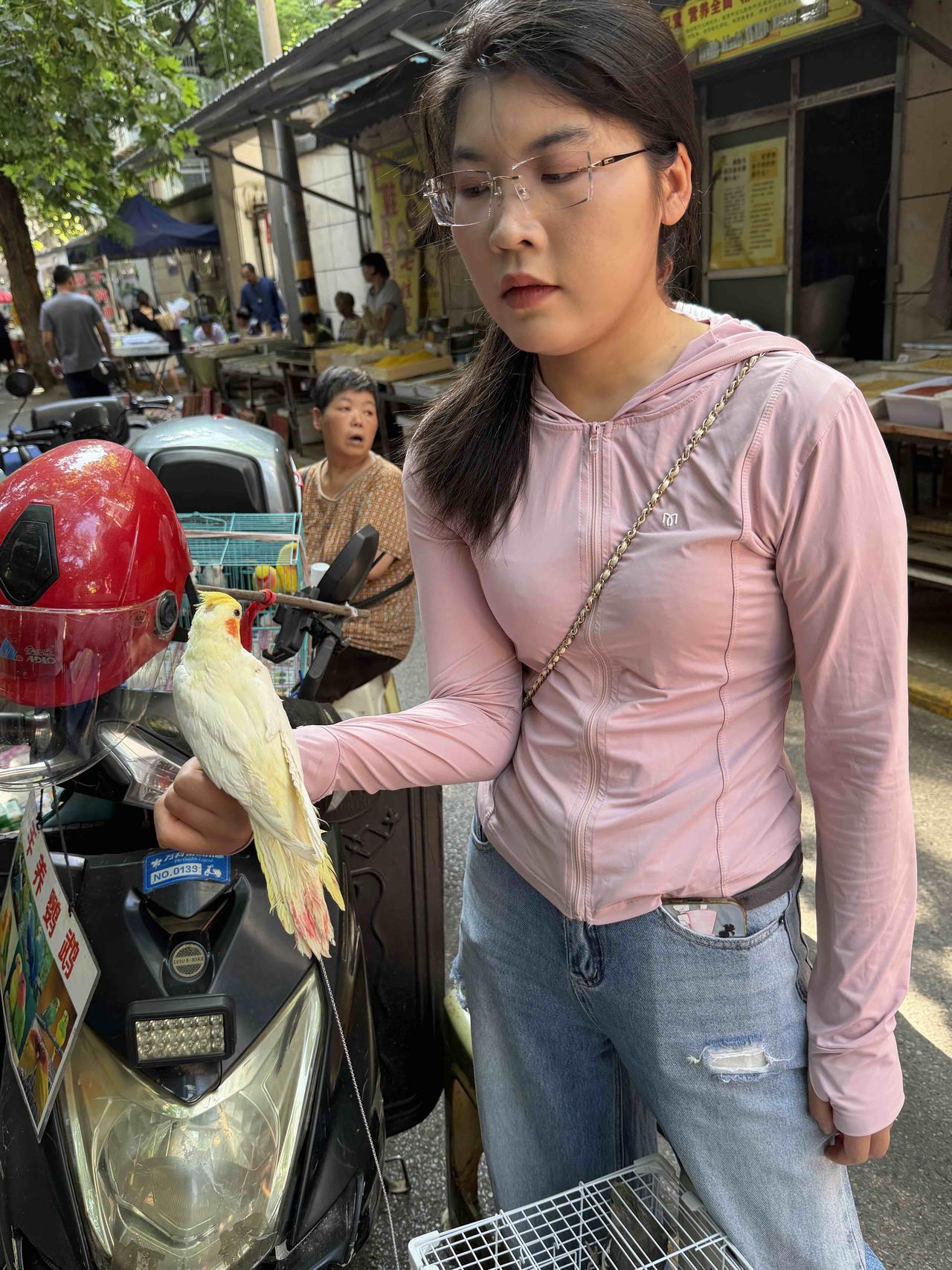 今天上午，我逛西安档子，走到西仓西巷时，看到一位美女在售卖玄凤鹦鹉，几个顾客围在