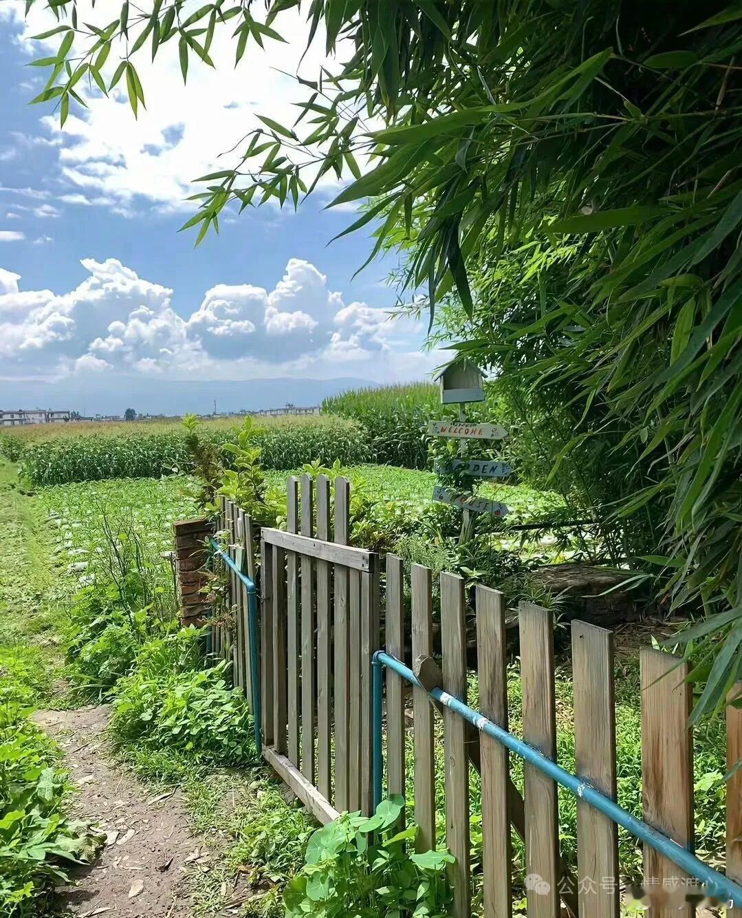 最好的生活状态就是：有人爱，有事做，有所期待。不为昨天叹息，不为明天忧虑，在自己