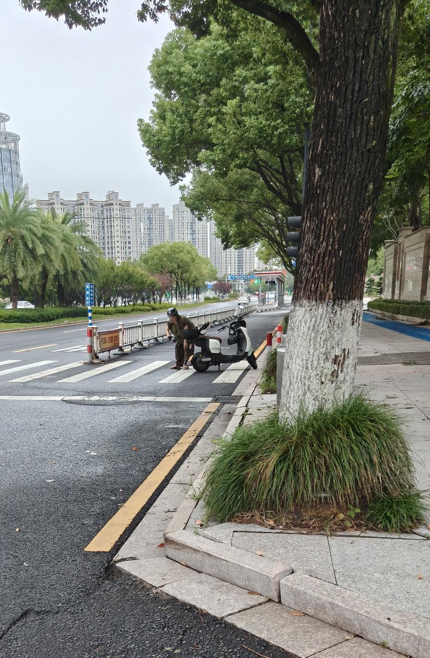 今早出门去买菜，走到半路时，瞧见一个骑摩托车的女人在过人行道时不慎摔倒。我本打算