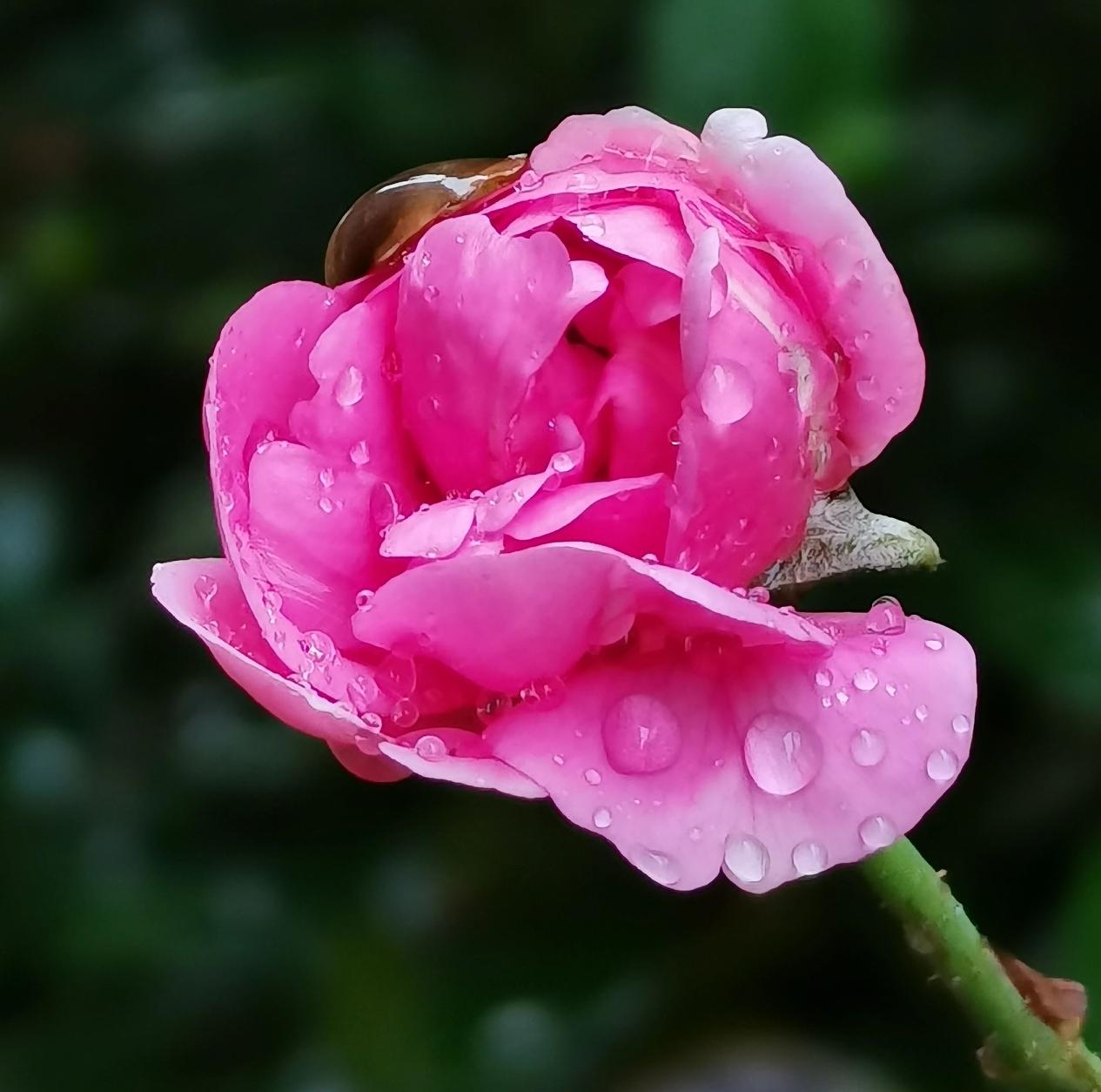 今天去银行办事的时候，顺道办了一件大事:喝了一杯银行的水。

今天朋友听说我要去