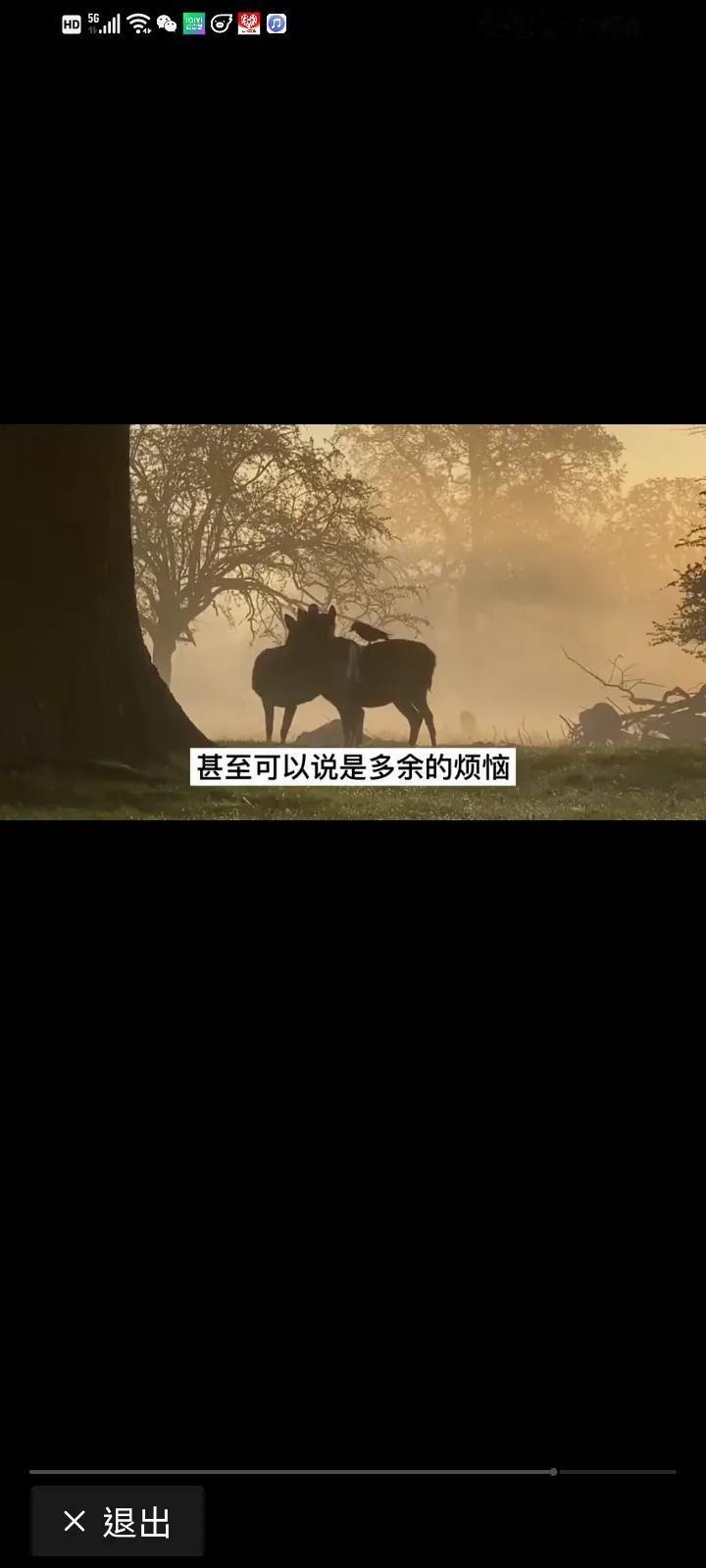 又看叔本华的《人的个性决定幸福》一文，很是感慨。
在中国语境下，个性（perso