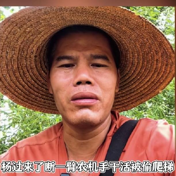 天门“寻梯农机手”千里驰援抢麦，反被本地人偷断活路后续。农机圈又出一场名门封神“