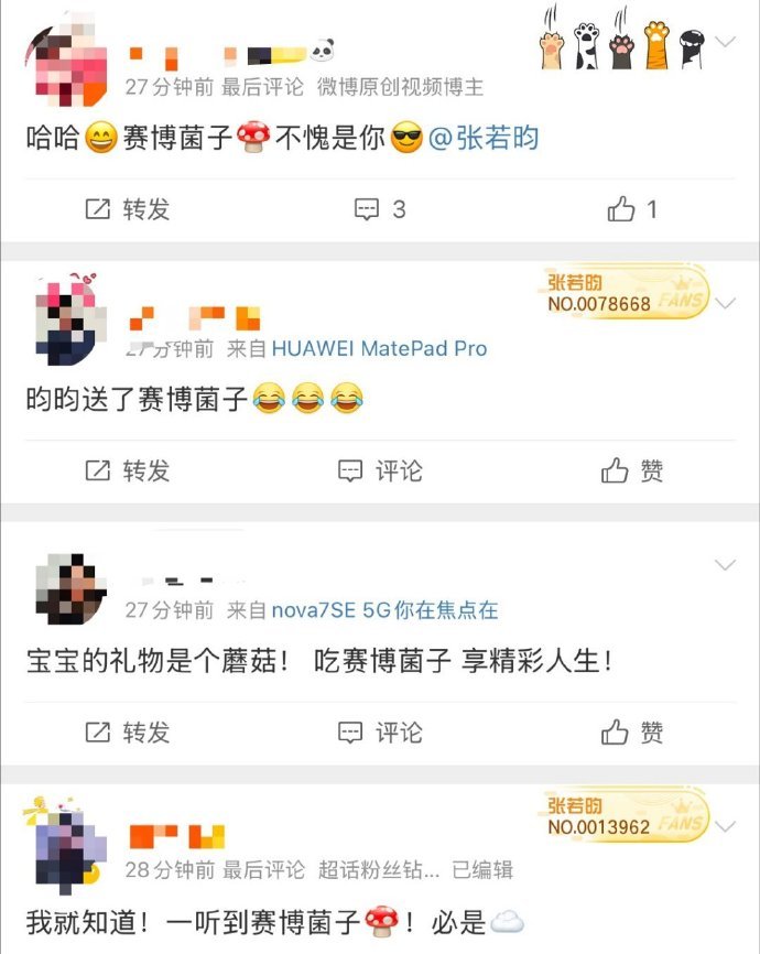 张若昀 红毯界的赛博菌子 张若昀这礼物竟然是赛博菌子！我真的直呼这也可以，根本没