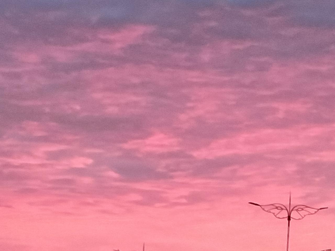 彤晖。
