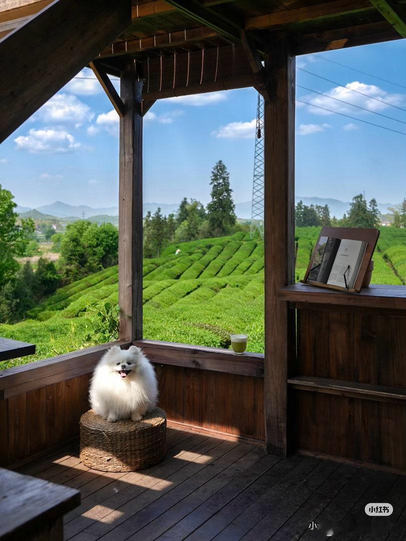 旅游  🆙本以为景德镇足够惊艳，直到踏入瑶里古镇如果你也来景德镇旅游，除了在市