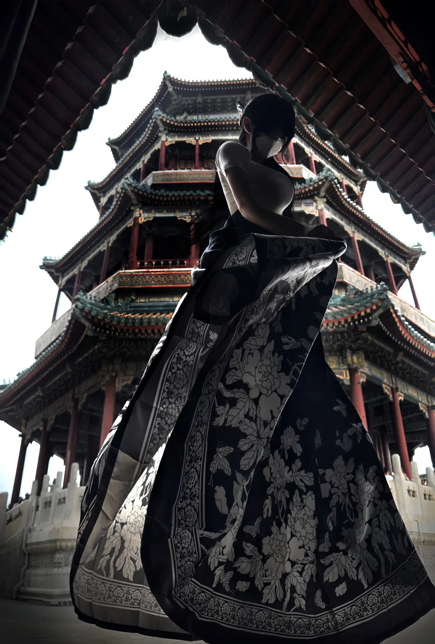 无人扶我青云志 我自踏雪至山巅