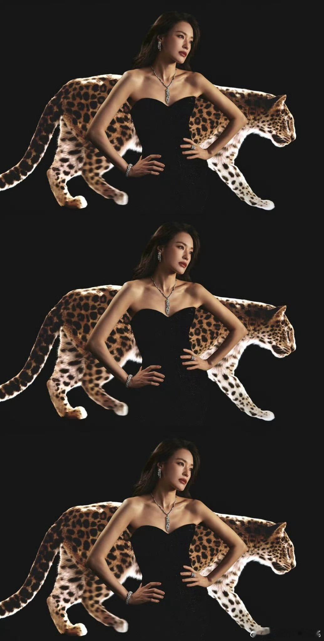 卡地亚你有林女士是你的福气啊 ​​​