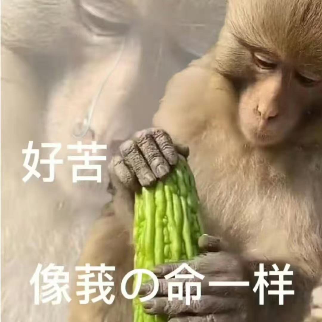 最尊重猴的剧组出现了不止正片有猴子名场面，首映礼伴手礼安排香蕉，剧情彩蛋和线下活