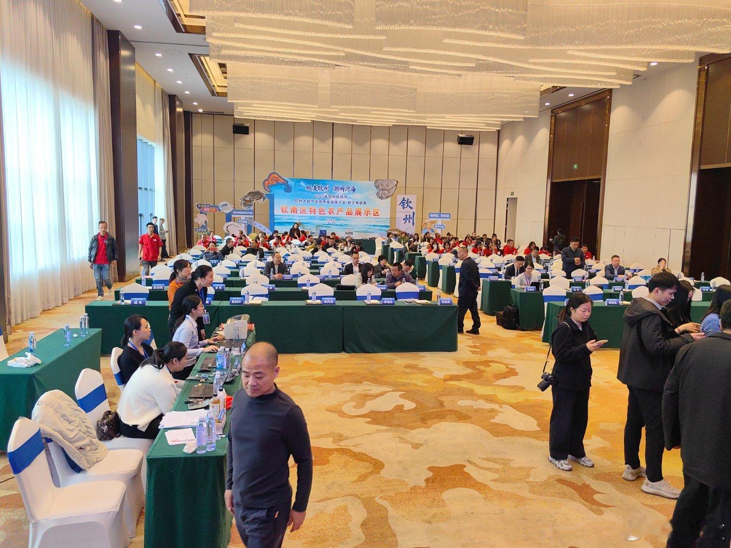 蚝美钦州潮听河海30500元成交！钦州蚝王拍卖所得全额捐赠公益事业。12月5日下