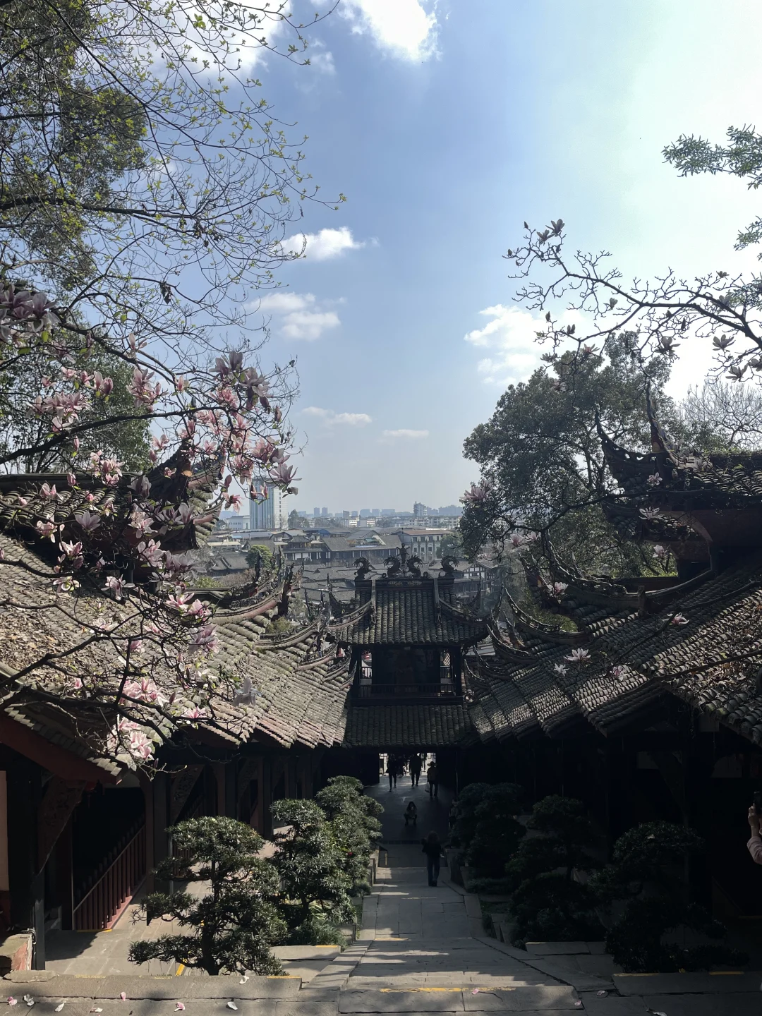 都江堰这个机位太好看了