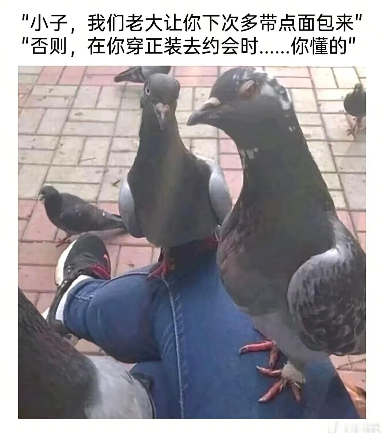 一点了没睡的人在干嘛 ​​​