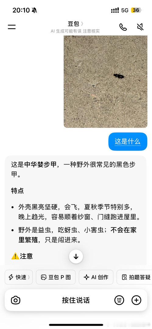 拉着猫弟弟抓虫子，被蛰了一直眨眼睛[捂嘴哭]弟弟吓得飞跑多起来了[捂嘴哭]豆包说