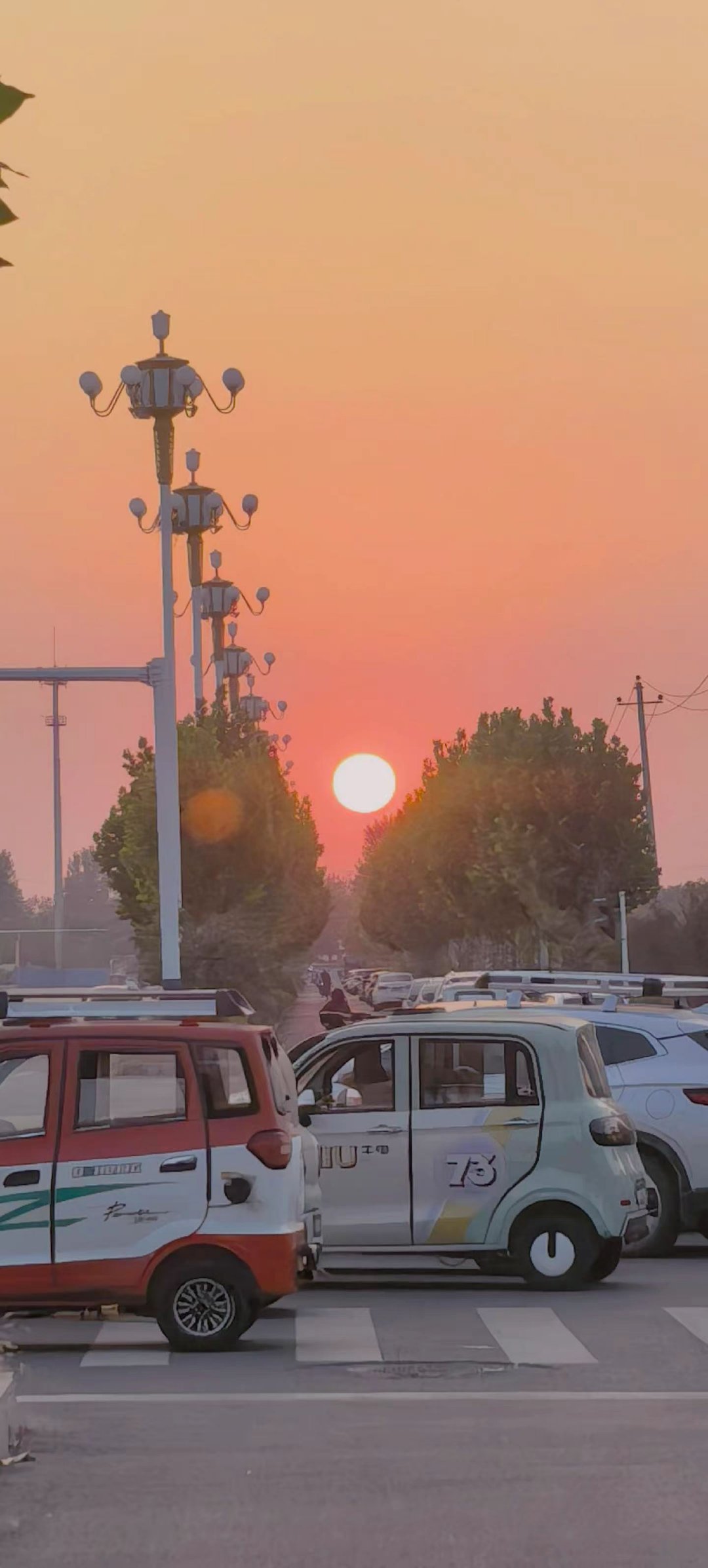 夕阳无限好，只是近黄昏 ​​​