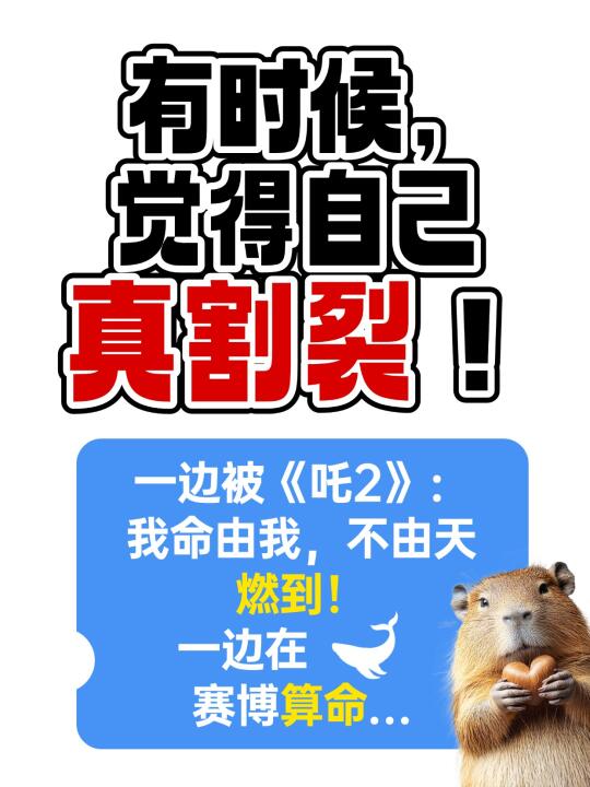 时政热点知识，猝不及防的进入脑子了……