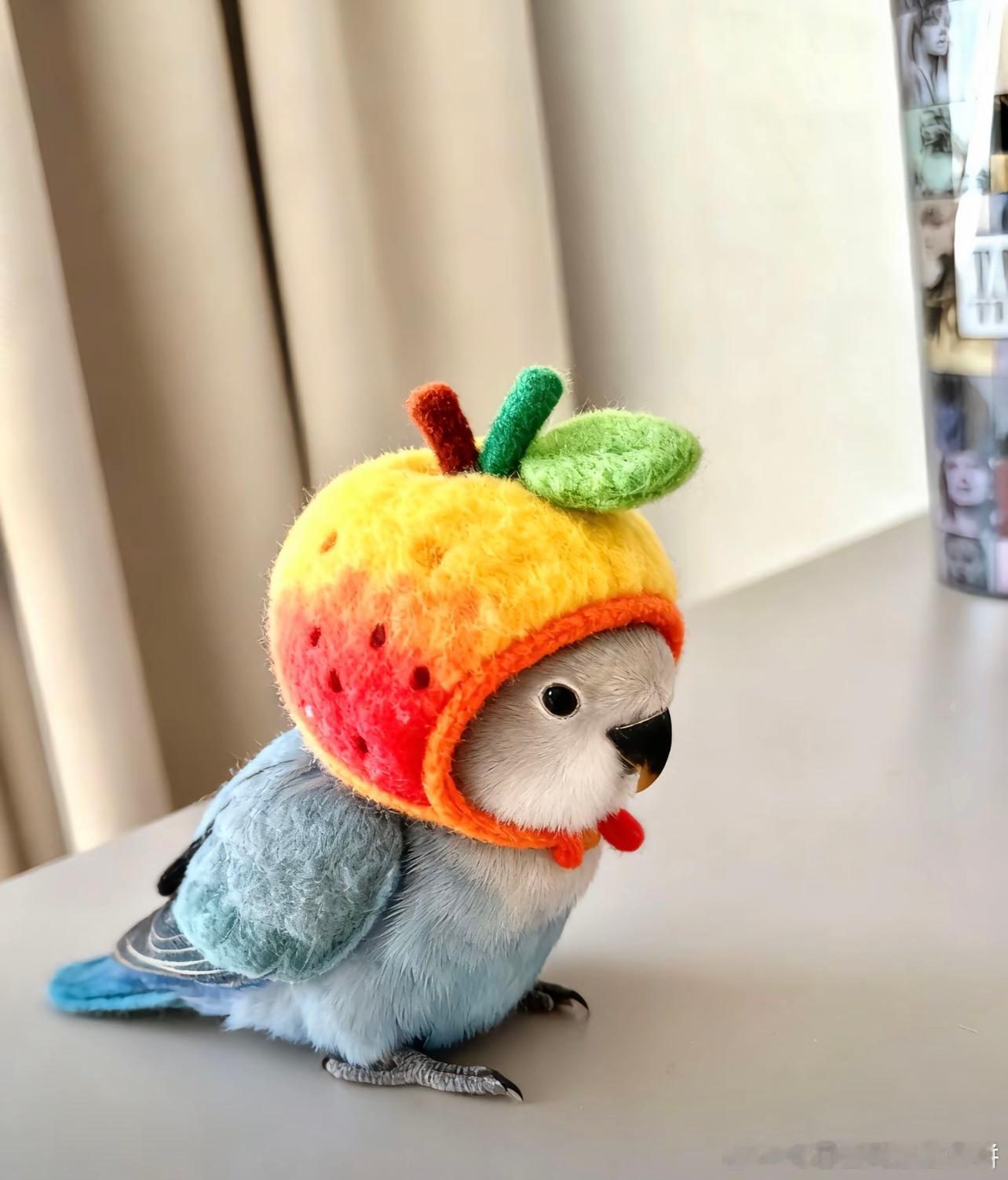 我爱看一些小鸟穿衣服 ​​​
