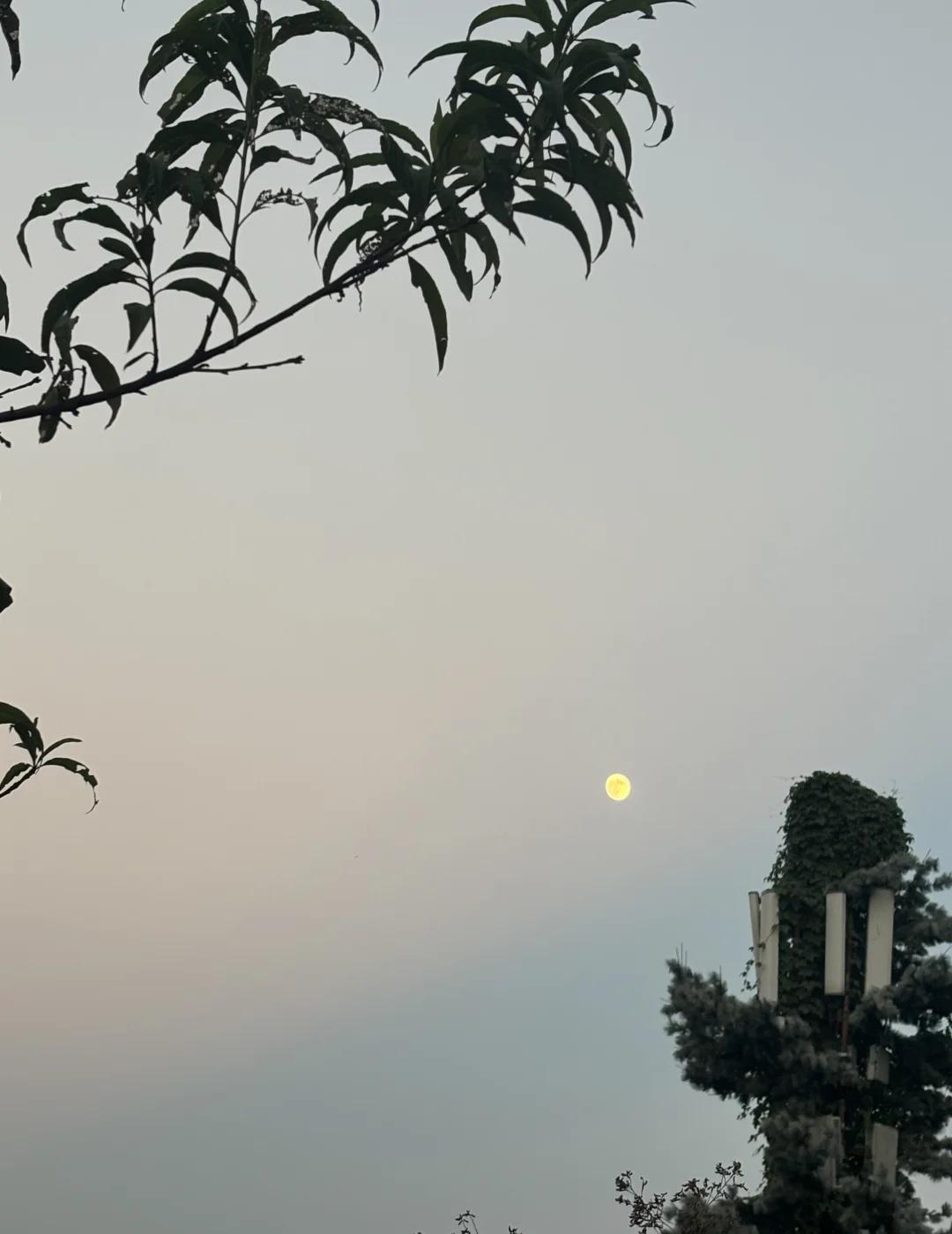 妈，我可以不生吗？
我今年33，已婚3年，没生孩子。
	
今天又是被我妈催生的一