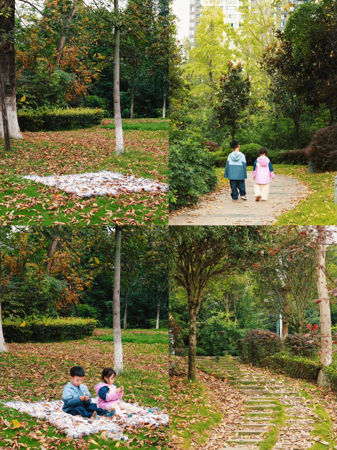 成都公园拍照🍂｜一不小心掉入秋天的童话里~