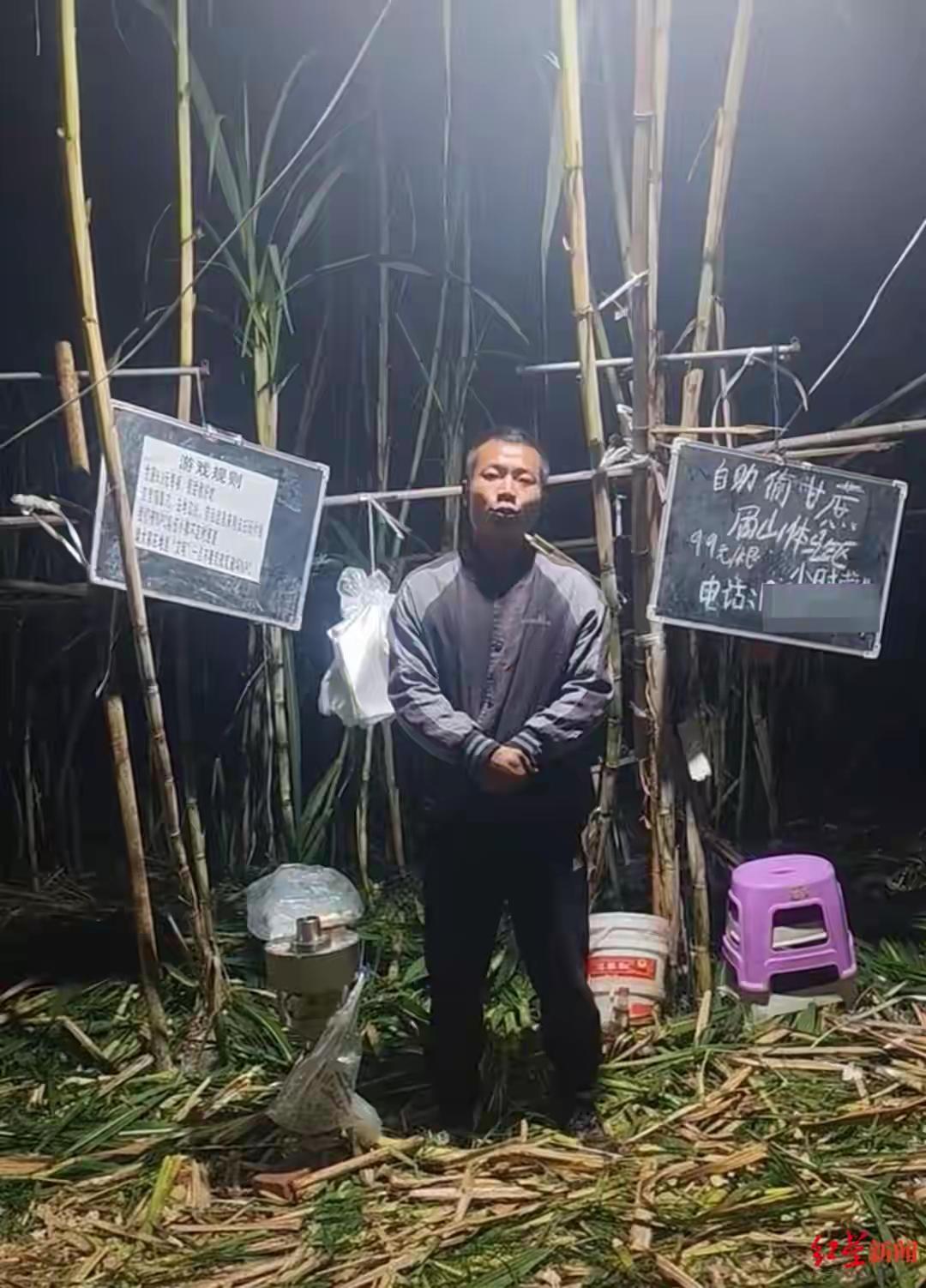 眉山甘蔗地一夜爆红背后的荒诞狂欢与人性试炼场， 从9.9元偷蔗闹剧看当代人的精神