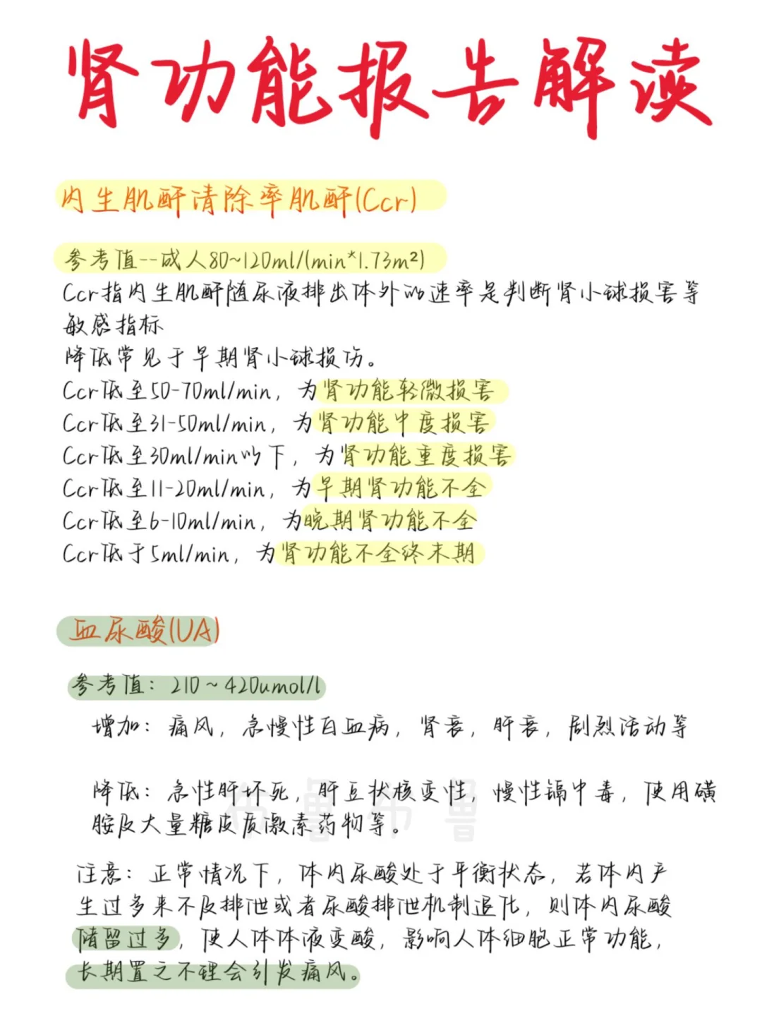 医学生笔记——肾功能报告解读