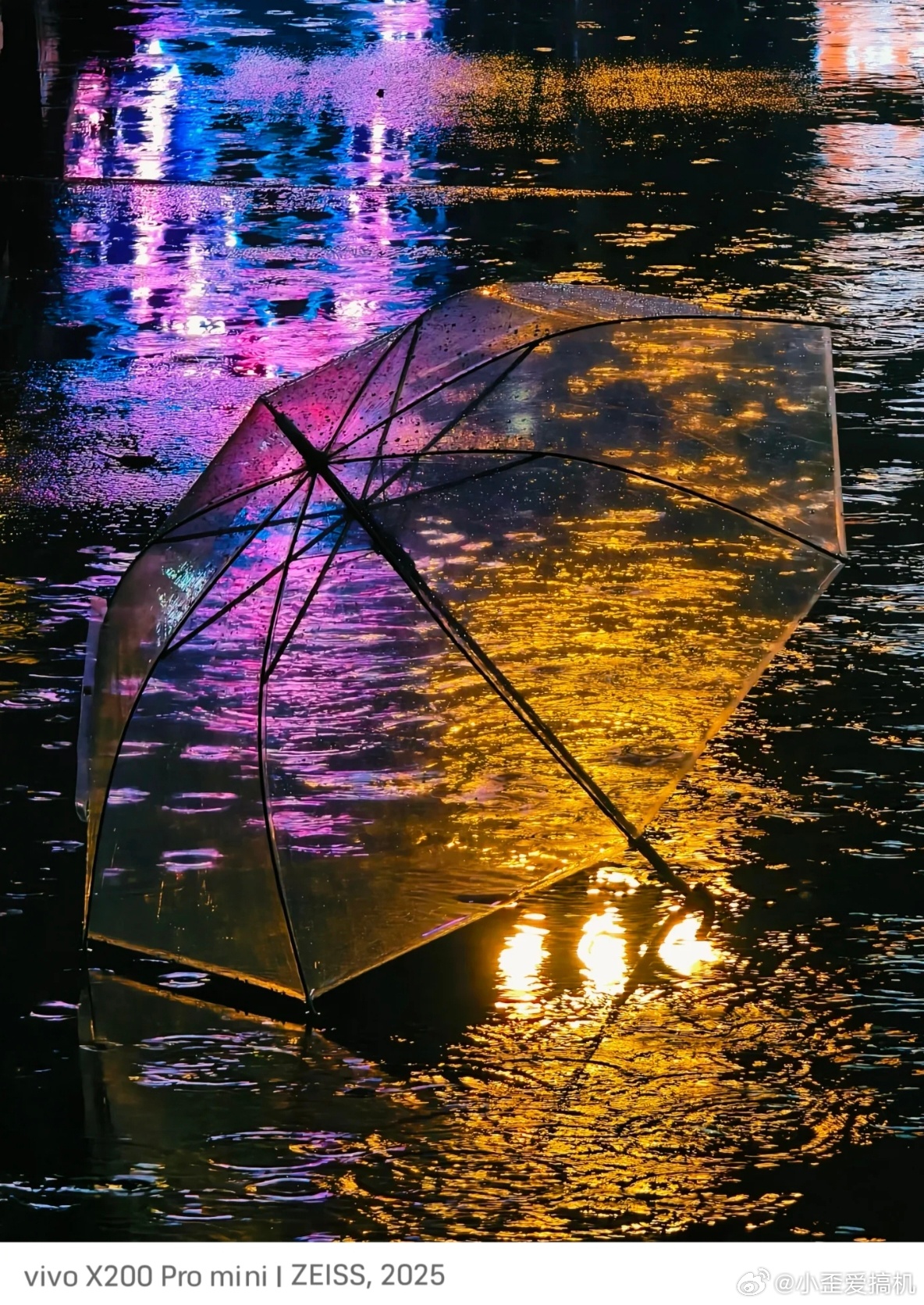 深圳暴雨后路面现大量罗非鱼深圳最近是不是失恋了？一直下暴雨 ​​​