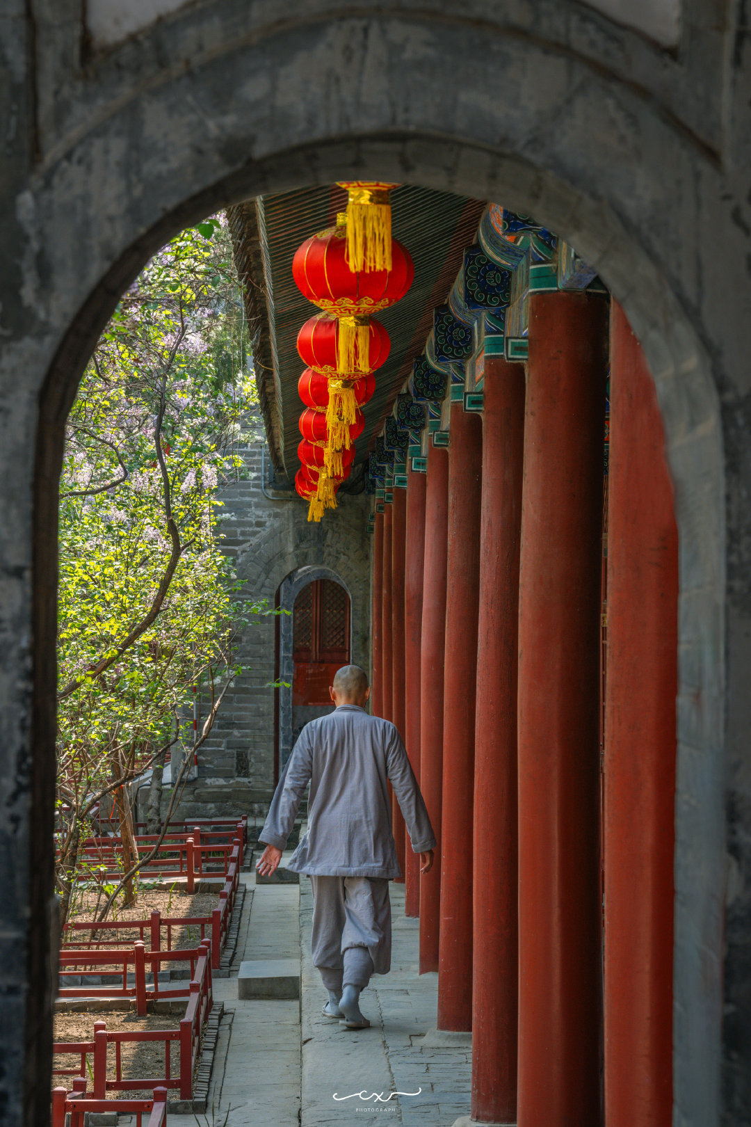 丁香枝上，豆蔻梢头。📍北京法源寺摄影 ​​​
