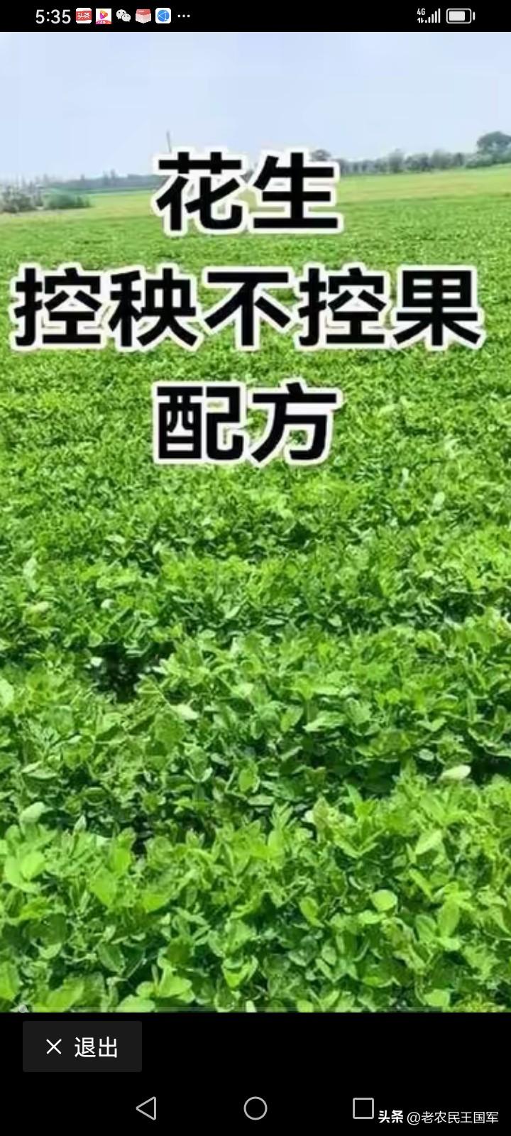 7月春花生增产增收全套管理措施（南阳黄淮产区，7月正值盛花下针→结荚膨大关键期，
