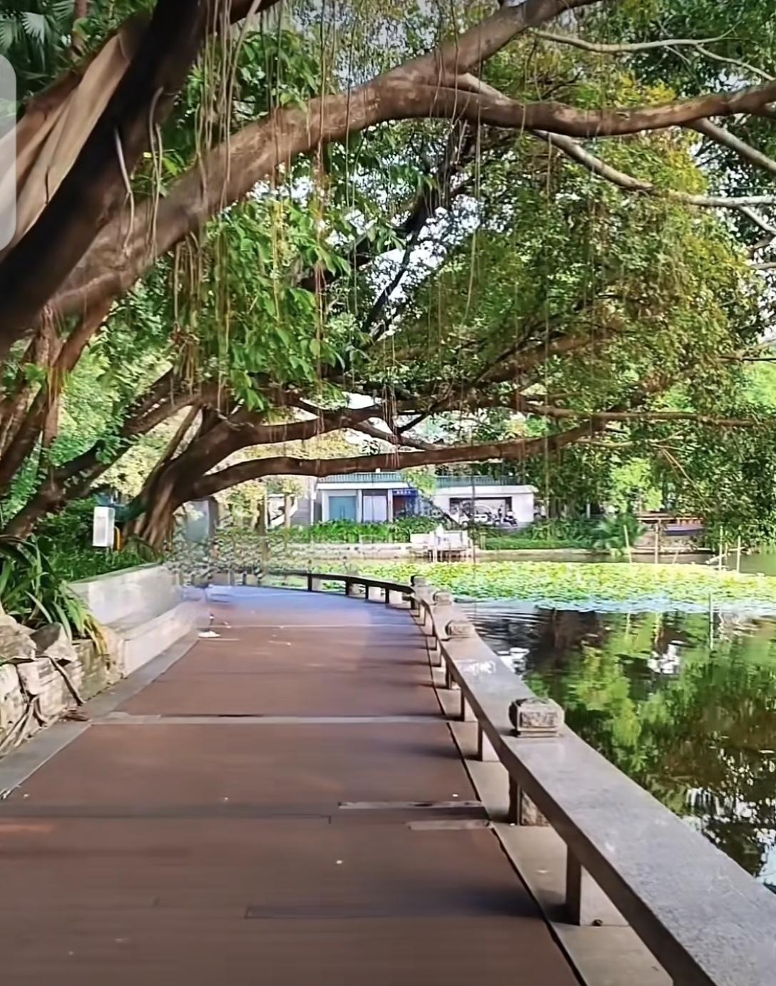 我同事的妈妈一直在农村务农，没有买过社保。同事帮她妈妈一次性补缴90000，等她