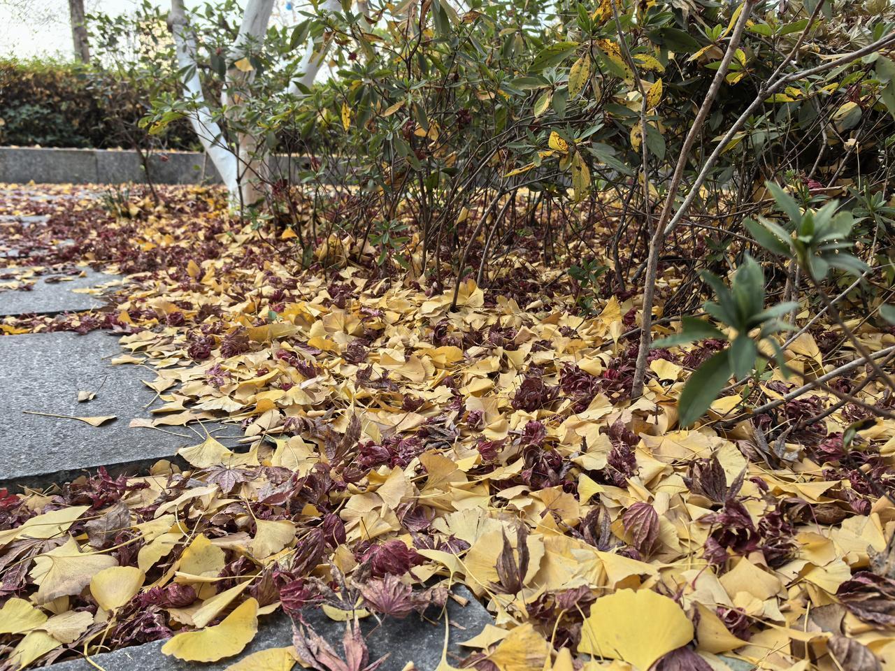 双十二对我而言不是购物节是特殊的回忆。今天双十二，大家都在买买买，我却在回忆自己