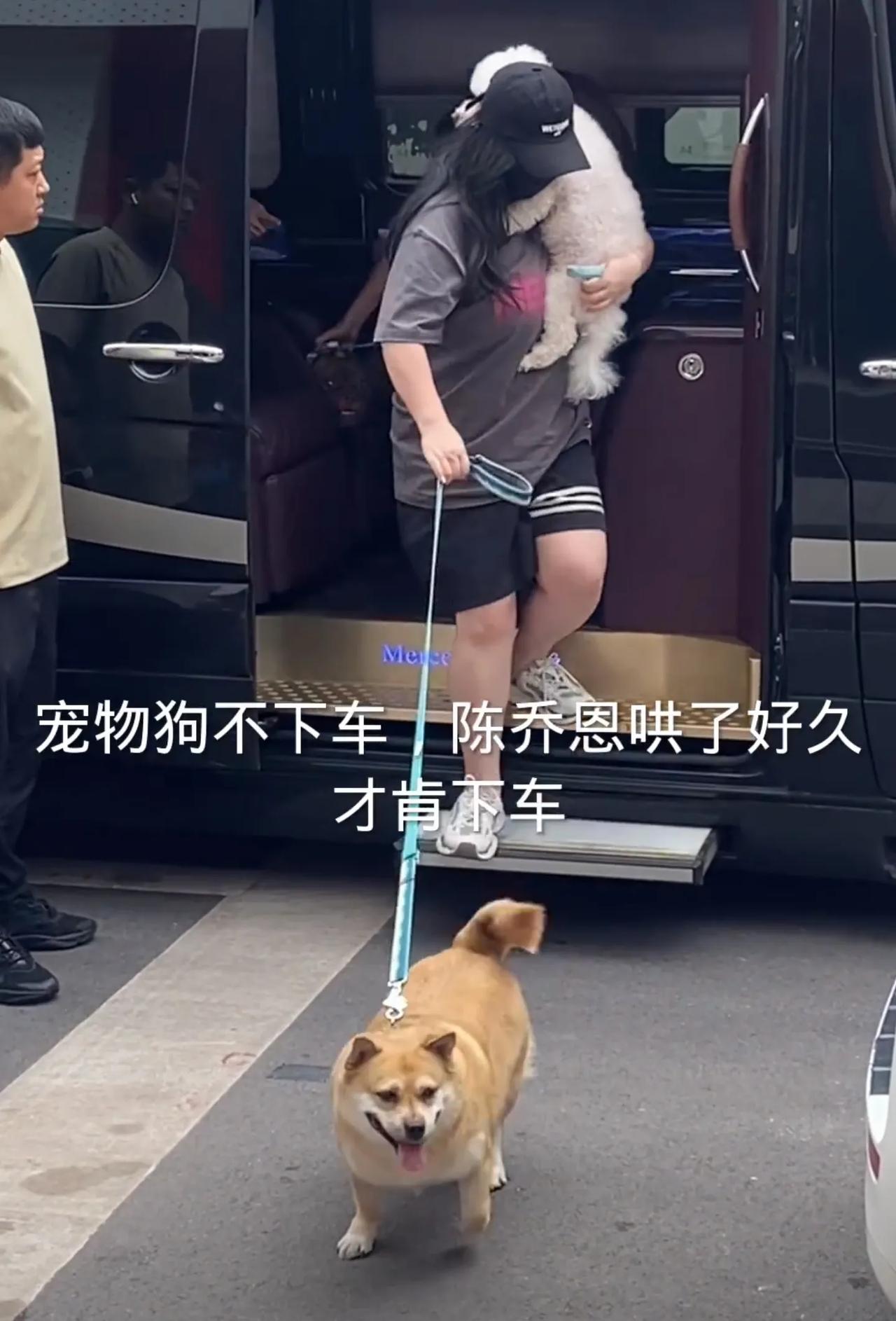 网友拍到女明星陈乔恩外出的时候，宠物狗不下车，陈乔恩哄了好久才把狗弄下来。
有时